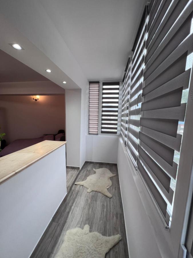 Studio In The City Center Apartment Nehoiu Ngoại thất bức ảnh